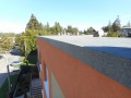 DSCN3768